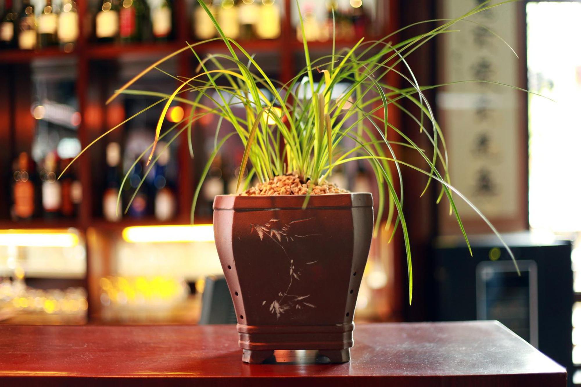 Jun Bo Xuan Boutique Hotel Λιγιάνγκ Εξωτερικό φωτογραφία